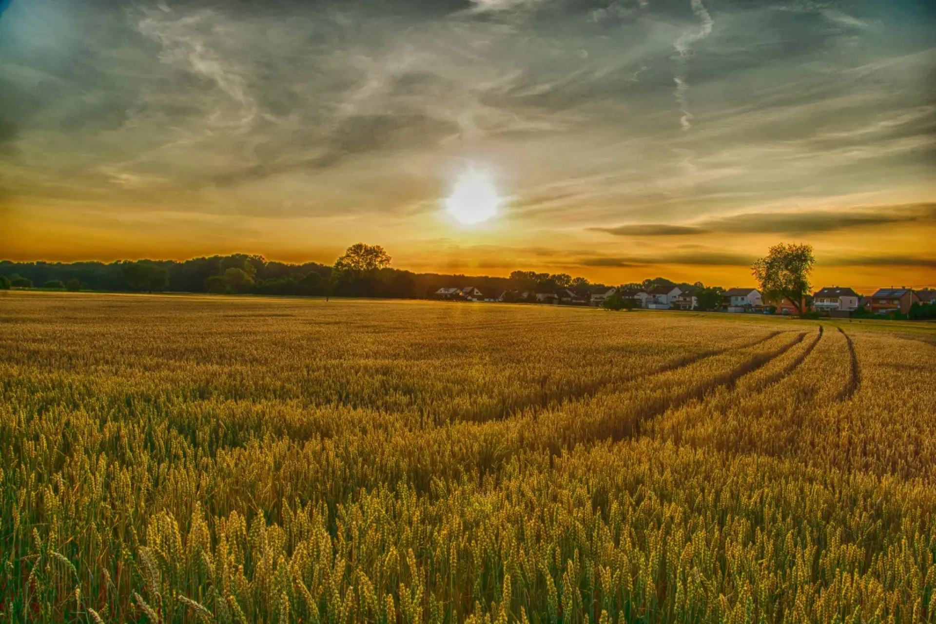 Vente de matériel agricole à Vélines et Saint-Denis-de-Pile