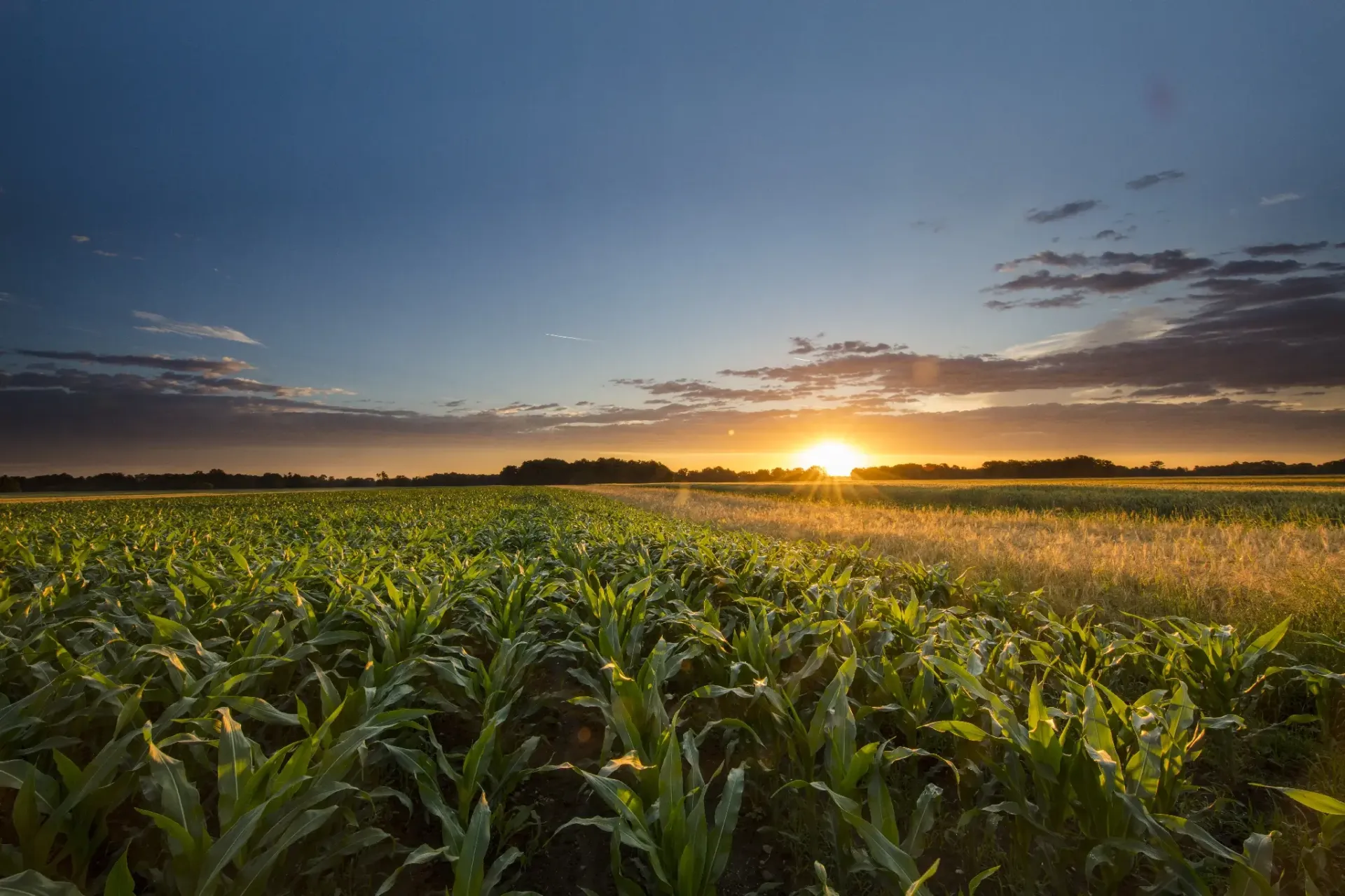 Equipements agricoles