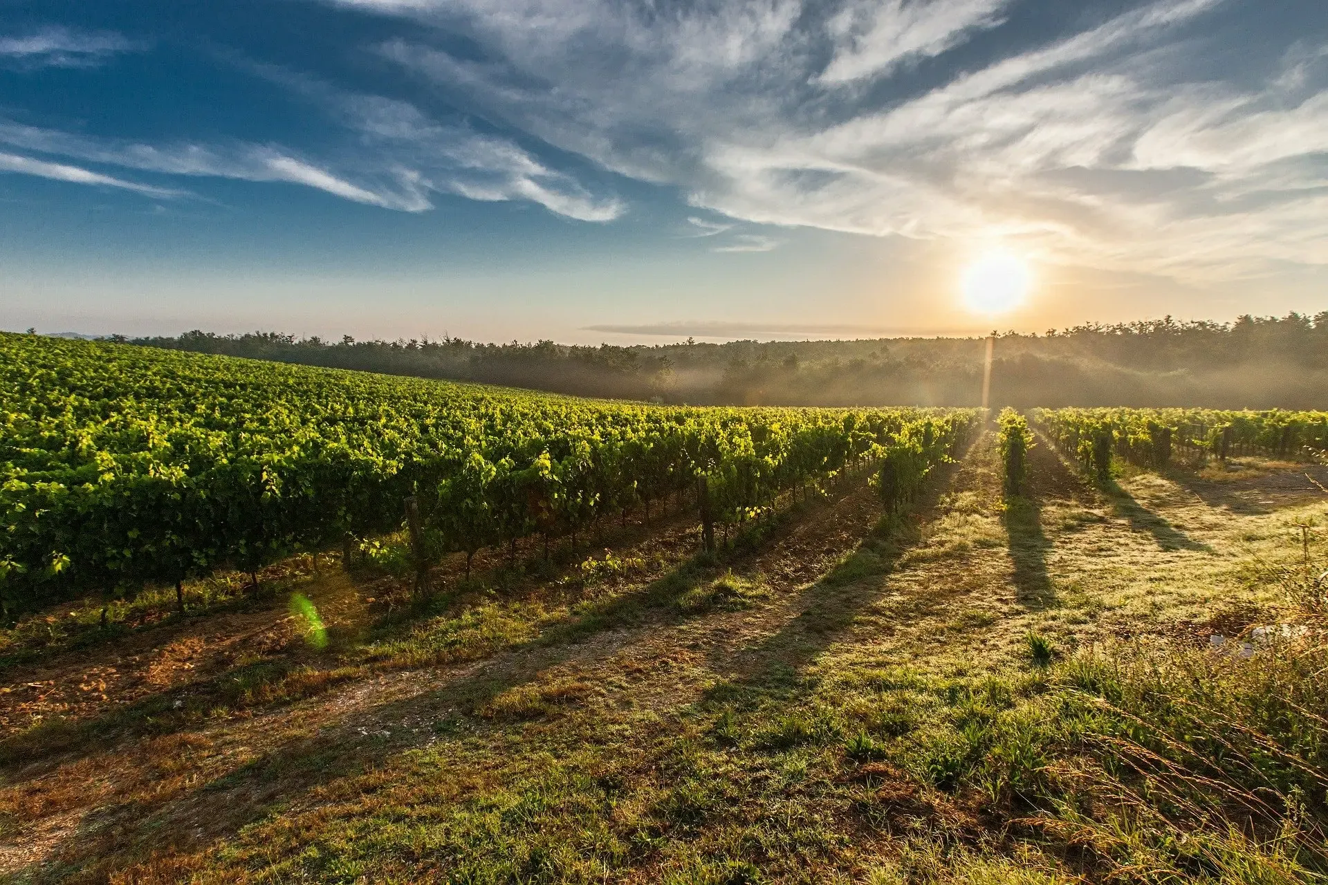 Actualités de votre concessionnaire agricole